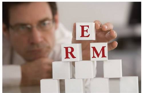 Que es ERM? El tercer sistema despues de CRM y ERP