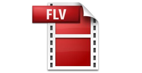 Video digital El formato Flash Video