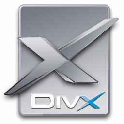 el formato DivX