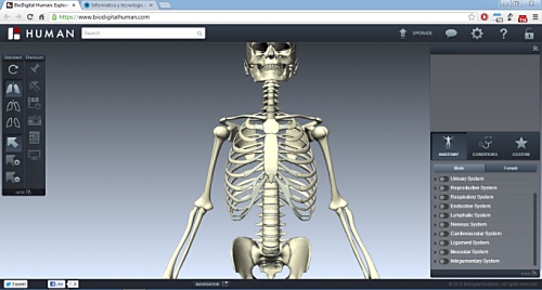Explora el cuerpo humano con imagenes 3d