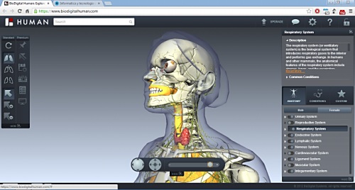 Explora el cuerpo humano con imagenes 3d